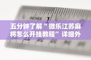 五分钟了解＂微乐江苏麻将怎么开挂教程”详细外挂安装步骤