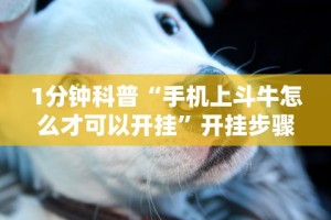 软件分享“唯思竞技麻将有挂吗”开挂(透视)辅助教程