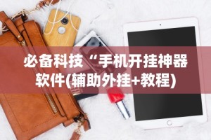 2026玩家推荐：微乐跑胡子辅助器(无需付费)”(曝光透视必备猫腻)