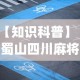 【知识科普】“蜀山四川麻将有挂吗”(透视挂)辅助透视教程