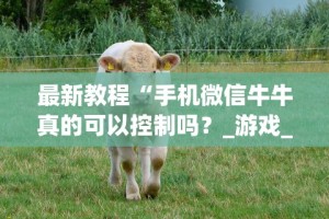 玩家攻略宝典“七千在线可以开挂吗”揭秘透视辅助万能挂