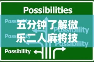 五分钟了解微乐二人麻将技巧”(详细透视教程)-
