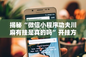 揭秘“微信小程序功夫川麻有挂是真的吗”开挂方法