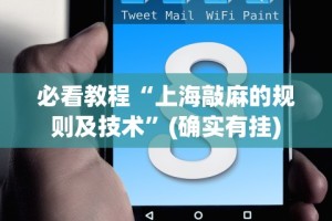 必看教程“上海敲麻的规则及技术”(确实有挂)