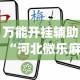 万能开挂辅助“河北微乐麻将游戏怎么玩才能赢”(曝光透视必备猫腻)