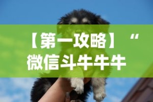 【第一攻略】“微信斗牛牛牛群有挂吗”(详细透视教程)-知乎