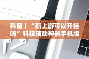 辅助盘点“游米在线可以开挂吗”(果然有透视挂)