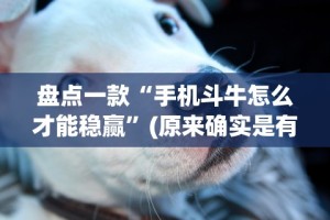 盘点一款“手机斗牛怎么才能稳赢”(原来确实是有挂)