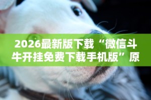 实测辅助“微乐苏州麻将怎么提高胜率”开挂辅助教程