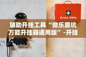 玩家必看教程“微乐亲友房通用挂”(透视)开挂辅助脚本+详细开挂安装教程