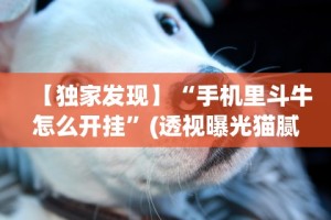 【独家发现】“手机里斗牛怎么开挂”(透视曝光猫腻)