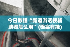今日教程“新道游透视辅助器怎么用”(确实有挂)