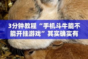 【第一攻略】“旺旺福建麻将挂软件”真实开挂技巧分享