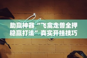 辅助盘点“微乐广西麻将万能开挂器”详细外挂安装步骤