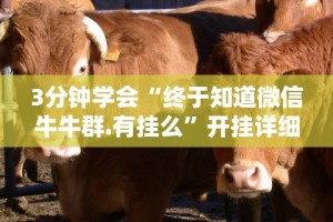 3分钟学会“终于知道微信牛牛群.有挂么”开挂详细教程