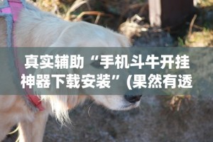 真实辅助“手机斗牛开挂神器下载安装”(果然有透视挂)