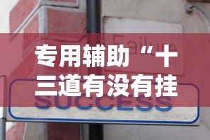 专用辅助“十三道有没有挂车的”详细辅助教程分享
