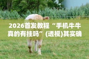开挂教程“同仁棋牌软件有挂吗？”详细辅助软件教程
