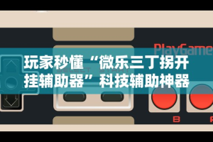 玩家秒懂“微乐三丁拐开挂辅助器”科技辅助神器手机版