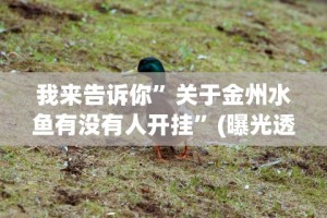 我来告诉你”关于金州水鱼有没有人开挂”(曝光透视必备猫腻)