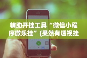 辅助开挂工具“微信小程序微乐挂”(果然有透视挂)