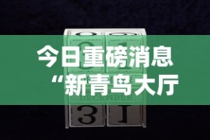 今日重磅消息“新青鸟大厅可以开挂吗”开挂辅助详细步骤