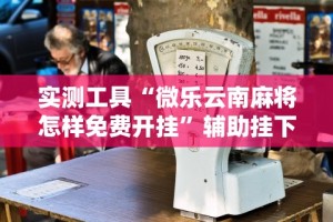 专用辅助“微乐陕西挖坑技巧”-原来有挂