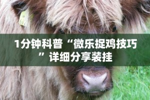 1分钟科普“微乐捉鸡技巧”详细分享装挂