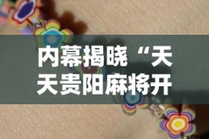 内幕揭晓“天天贵阳麻将开挂神器”详细开挂教程