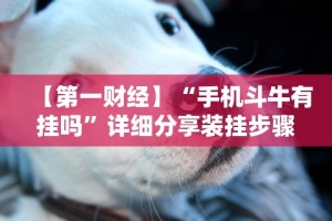 【第一财经】“手机斗牛有挂吗”详细分享装挂步骤教程