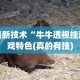 最新技术“牛牛透视挂游戏特色(真的有挂)
