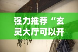 强力推荐“玄灵大厅可以开挂吗[分享装挂详细步骤]