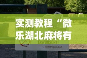 实测教程“微乐湖北麻将有挂吗”(透视挂)辅助透视教程