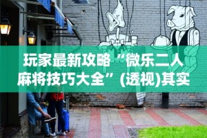 玩家最新攻略“微乐二人麻将技巧大全”(透视)其实真的有挂