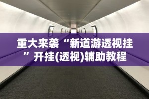玩家辅助神器“微乐过炸为什么会一直输”揭秘透视辅助万能挂用法