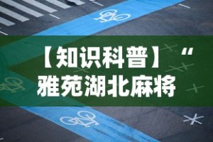 【知识科普】“雅苑湖北麻将开挂”详细外挂安装步骤