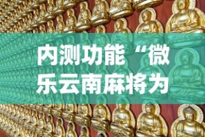 内测功能“微乐云南麻将为什么一直输”(详细开挂教程)