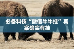 必备科技“斗牛开挂神器有卖的”-开挂神器-包教包会