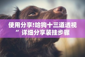 使用分享!哈狗十三道透视”详细分享装挂步骤