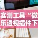 实测工具“微乐透视插件下载”开挂辅助详细步骤