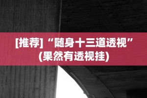 [推荐]“随身十三道透视”(果然有透视挂)