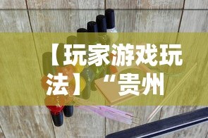【玩家游戏玩法】“贵州捉鸡麻将开挂神器”详细分享装挂步骤