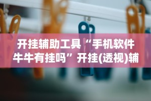 4分钟了解“中至常熟麻将开挂神器”(曝光透视必备猫腻)