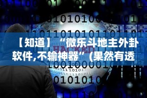 教程解析“新星游有挂吗”附开挂脚本详细步骤