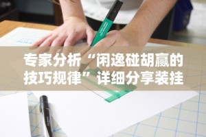 专家分析“闲逸碰胡赢的技巧规律”详细分享装挂步骤教程