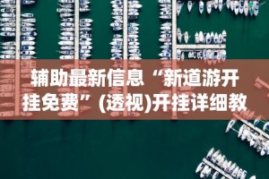 辅助最新信息“新道游开挂免费”(透视)开挂详细教程
