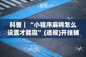 科普｜“小程序麻将怎么设置才能赢”(透视)开挂辅助脚本+详细开挂安装教程