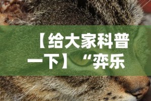 【给大家科普一下】“弈乐麻将外卦神器下载安装”详细外挂安装步骤