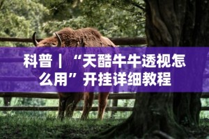 经验传递“老铁联盟开挂神器下载”分享必要外挂教程