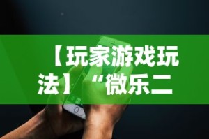 【玩家游戏玩法】“微乐二丁拐辅助器”科技辅助神器手机版教程